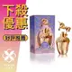 ANNA SUI 安娜蘇 Fantasia Gold Edition 鎏金天馬 童話金色獨角獸 女性淡香水 50ML ❁香舍❁ 母親節好禮