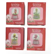 Strawberry Shortcake Snow Globe Lot - Set of 4 - 2024