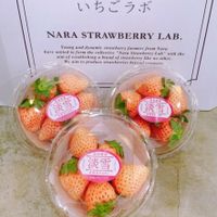 在飛比找鮮拾優惠-【專業農】 日本奈良淡雪草莓小圓盒2盒(下單後7個工作天出貨