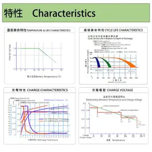 優良搭配 儲電組合 極大容量 可充電電池 即時道路救援 太陽能和備用電池 深循環電池 提供多元充電孔 YUASA UXC50 P500儲能