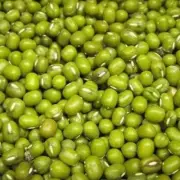 5kg Green Mung Beans / Moong Beans / Sprouts / Vegan GF Low GI Bulk Vegan