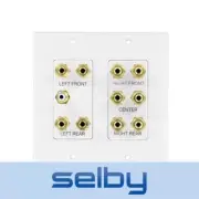 5.1 Speaker Cable Wall Plate 2-Gang for 5 Surround Sound Speakers & Subwoofer