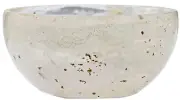 Selenite Orgone Bowl - 2" Inches