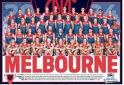 MELBOURNE DEMONS 2024 AFL FOOTBALL TEAM PLAYER POSTER,BIG 420mm, BARGAIN,2