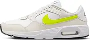 [Nike] Air Max SC Men's Shoes (CW4555-114, White/Phantom/Black/Cyber)