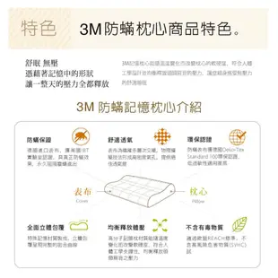 【3M團購價】3M 新絲舒眠 防蟎記憶枕-機能型-M