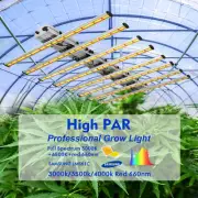 640W Spider LED Grow Light Hydroponic Full Spectrum Indoor Veg Flower Plant Lamp