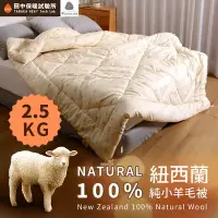 在飛比找Yahoo!奇摩拍賣優惠-《田中保暖試驗所》2.5kg 100%紐西蘭純小羊毛被 雙人