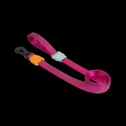 Zee Dog Leash Sidus
