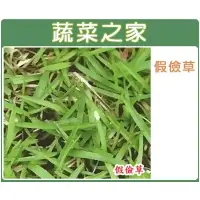 在飛比找蝦皮購物優惠-蔬菜之家滿額免運【00M04】超級假儉草種子1公斤裝(超級喬