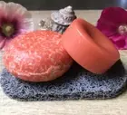 Orange Grove Shampoo bar & conditioner bar bundle / promotes hair growth