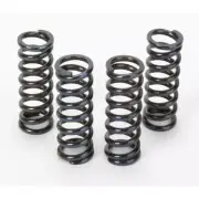 RAD Powersports Clutch Springs For 1997 Kawasaki EX250F Ninja 250R 772933
