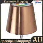 Wireless Bottle Lamp Rechargeable Warm Light & RGB LED Table Lamp (Rose Gold) AU