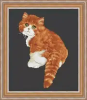 Cross stitch kit Cute cat 26x30cm Aida 16ct embroidery needlepoint kit