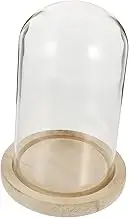 10x18 Inch Preserved Flower Glass Cover with Wooden Base Decorative Flower Display for Shelf or Tabletop