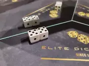 Loaded Dice Trick Dice Gaffed Dice Magic Dice Weighted Dice (1-3-5s / Misspots)