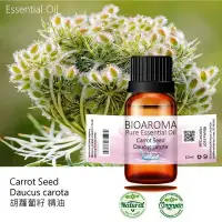 在飛比找Yahoo!奇摩拍賣優惠-【芳香療網】Carrot Seed - Daucus car