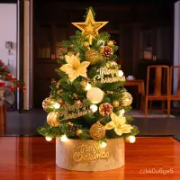 在飛比找蝦皮商城精選優惠-聖誕樹diy 小聖誕樹 桌上聖誕樹 聖誕節裝飾 聖誕節佈置 