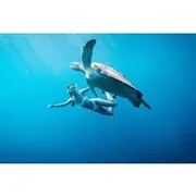 Save 7.99%! Gili Island Snorkeling Trip - Gili Trawangan, Gili Meno, & Gili Air, From Lombok