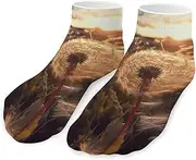 [QMNVBDS] Dandelions at Sunset Socks Ankle Length Socks Casual Short Socks for Women Men Low Cut Sports Socks Running Socks No Show Socks Ankle Socks Athletic Socks Workout Socks, Style, One Size, Style