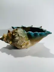 Vintage Large Sea Shell Planter Costal Ceramic Pottery Nautical Beach Conch MCM