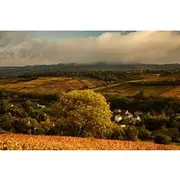 Save 20.00%! Full-Day Private Wine Tour in Côte de Beaune
