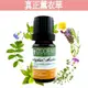 法國【真正薰衣草純精油10ml-50ml】優質單方純精油系列-歐丹尼