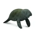 「芃芃玩具」 COLLECTA 動物模型 小海牛 R88456  貨號88456