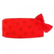 Red Mickey Mouse Silhouette Cummerbund and Bow Tie Set