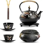 Dyna-Living Cast Iron Teapot with Warmer 720ml/24.5oz Japanese Teapot with Infuser Cast Iron Tea Pot Set with 2 Tea Cups Japanese Style Teapot for Stovetop Cast Iron Tea Kettle for Home Use