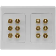 Pro.2 Gold Plated 12 Banana Sockets Terminal Speaker Wall Plate