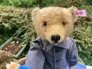 Steiff 2024 Monty Python Teddy Bear. Dead Parrot Sketch EAN 691522 - BEAR SHOP