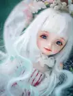 1/6 BJD Doll DZ 小雪 Little Snow -Free Face Make UP +Free Eyes