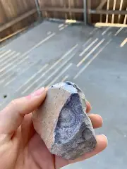 Porphyritic Tuffaceous Limestone from Prehistoric Volcanic Eruption | Mojave, CA