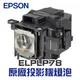 【EPSON】 ELPLP78 原廠投影機燈泡組 | EB-S03/EB-X03/EB-955W/EB-S18/EB-X18/EB-S21/EH-TW570/EH-TW5200【請來電詢價】