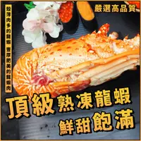 在飛比找蝦皮購物優惠-【潮鮮世代】熟凍頂級龍蝦／520~600g／野生龍蝦／小青龍