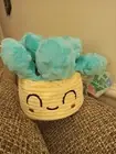 Bark Box Dog Toy Plush SQUEAKULENT Succulent Cactus Plant Spa Day Large NWT L
