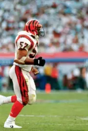 Reggie Williams of the Cincinnati Bengals 1980's NFL Photo