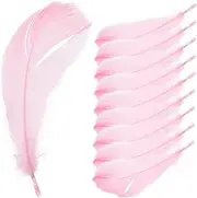CIYODO Plume Prop 15pcs Photo Props Jewlery Jewelry Plumes for Display Plume Decor Jewelry Photo Prop Cosmetics Display Tools Plumes Bulk Small Plumes Natural Manicure Small