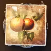Italian Tuscan Fruit Theme Cork Back COASTER Set with Metal Scroll Holder New