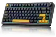 F75 75% Wireless Mechanical Keyboard,Gasket Hot Swappable Custom Cool Black