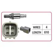 RAE Oxygen Sensor - OX855