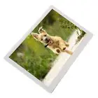 Digital Photo Frame 15.4Inch 1280x800P LED Screen Digital Picture Frame With