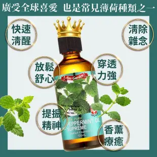 【Ausgarden 澳維花園】至尊薄荷精油100ml(薄荷精油能量 清涼舒心的療癒力)