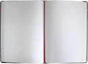 Record Book, 21 Series, Record Ruled, 8-1/8" X 10-3/8", 300 Pages (),Black/Red
