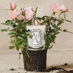 【DIPTYQUE】蒂普提克~香氛蠟燭~190G~玫瑰