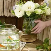 在飛比找Yahoo!奇摩拍賣優惠-花瓶 日式花瓶透明玻璃客廳插花擺件水養植物綠蘿水培器皿桌面生