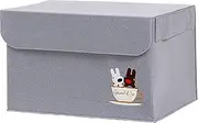 Astro 900-53 Lisa & Gaspard Storage Case, Gray, Felt, 2-Way with Lid, Storage Box, Soft Case, Foldable, Handle Included