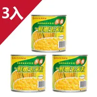 在飛比找momo購物網優惠-【廣達香】永偉玉米粒 易開罐340g－3入