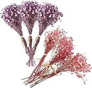 6Pcs Dried Breath Flower Bouquet for Wedding Home Decor Natural Dried Flowers for Table Decoration Chic Floral Arrangement for Parties and Centerpieces